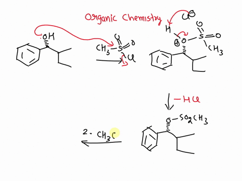 what-is-the-starting-material-of-the-following-reaction-sequence-ochz-hc-chona-qch3-74804