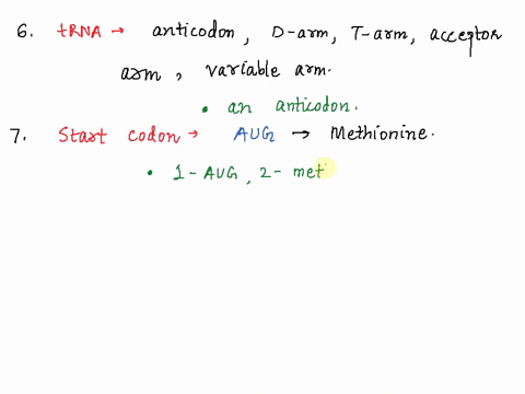6-each-t-rna-molecule-has-an-anticodon-a-codon-thymine-bases-exons-7-for-translation-the-start-codon-is-often-1-which-codes-for-2-a-1-atg-2-histidine-1-aug-2-methionine-1-gta-2-glutamic-acid-20798