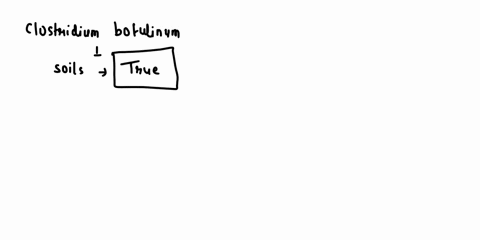 question-22-1-point-clostridium-botulinum-is-olten-iound-in-solls-true-false-question-23-4-points-proto-and-during-animal-slaughter-what-are-at-least-_-ol-the-exposed-meat-things-ths-can-be-49676