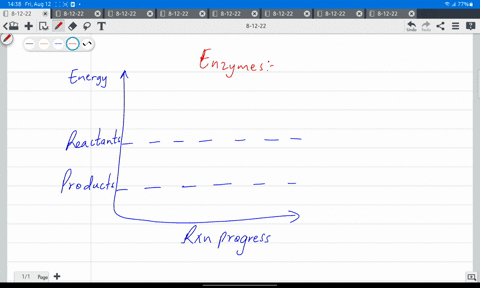 which-of-the-following-is-not-true-about-enzymes-a-enzymes-can-help-to-speed-up-chemical-reactions-b-the-shape-of-enzymes-is-important-to-their-ability-to-function-c-enzymes-can-help-to-lowe-89708
