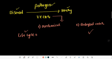 mosquitoes-can-often-transmit-viruses-from-one-organism-to-another-acting-as-_______-of-the-virus-a-parasites-b-symbionts-c-vectors-d-bacteriophage-79597