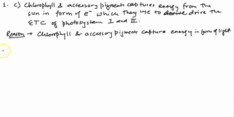 1-all-of-the-following-are-correct-descriptions-of-photosynthesis-except-a-the-calvin-cycle-is-endergonic-b-electrons-are-supplied-to-the-reaction-center-via-the-splitting-of-water-which-yie-58888