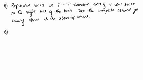 consider-the-following-segment-of-dna-which-is-part-of-a-much-longer-molecule-constituting-a-chromos-09098