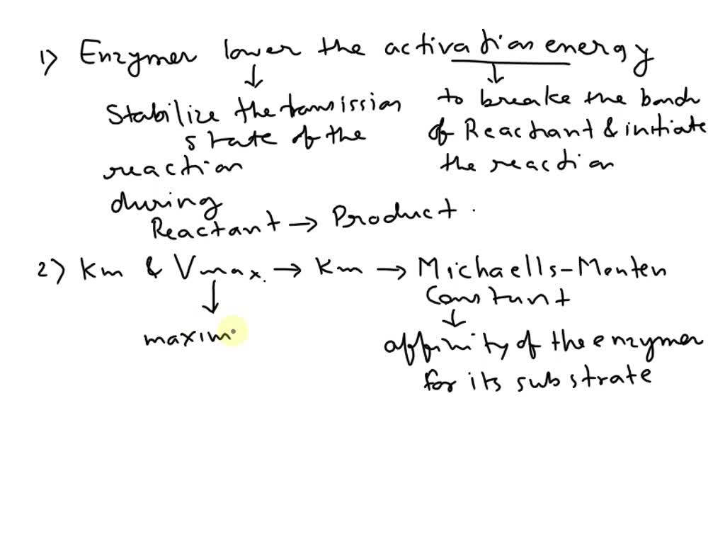SOLVED Explain HOW enzymes lower the activation energy of the reactions they catalyze Explain