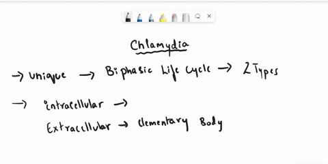 describe-the-life-cycle-of-chlamydia-at-what-point-do-you-think-therapeutics-should-be-directed-so-as-to-give-the-best-chance-of-recovery-for-a-patient-how-would-you-go-about-it-67632