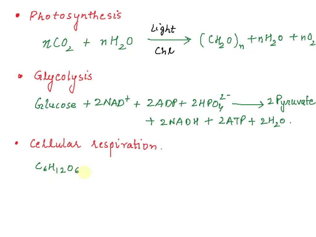 SOLVED Write The Word Equation Of Glucose Breakdown In The Glucose In 
