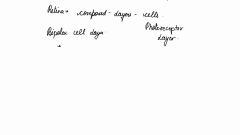 vision-25_points-a-detail-the-structure-individual-components-of-the-retina-and-the-signal-pathway-ofhow-light-hitting-rods-creates-action-potentials-that-can-be-sent-to-the-lgn-b-describe-t-49742