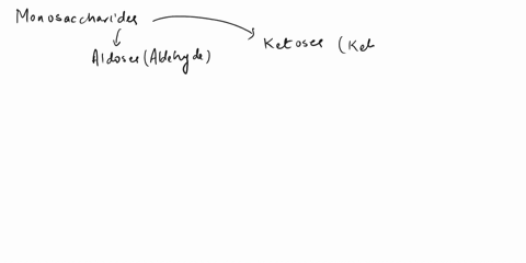 what-is-the-difference-between-an-aldose-and-a-ketose-6-47762