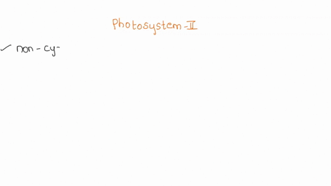 which-statement-accurately-describes-what-occurs-in-photosystem-ii-group-of-answer-choices-light-energy-excites-electrons-in-the-electron-transport-chain-in-a-photosynthetic-unit-the-photons-81935