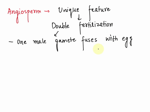 what-structure-forms-during-angiosperm-fertilization-but-does-not-form-during-fertilization-among-other-types-of-plants-29112