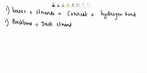 which-of-the-following-statements-concerning-the-structure-of-dna-is-incorrect-the-sequences-of-bases-in-the-two-strands-are-determined-by-noncovalent-bonding-between-adenine-and-thymine-or-42969