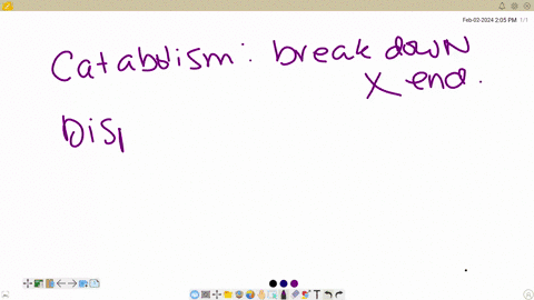 which-of-the-following-is-endergonic-catabolism-displacement-anabolism