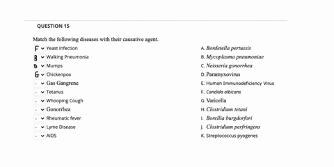 question-15-match-the-following-diseases-with-their-causative-agent-yeast-infection-walking-pneumonia-mumps-chickenpox-gas-gangrene-tetanus-a-bordetella-pertussis-b-mycoplasma-pneumoniae-c-n-03757