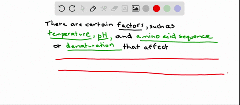 temperature-ph-amino-acid-sequence-and-denaturation-are-all-factors-that-contribute-to-multiple-choice-the-level-of-organization-seen-within-a-protein-the-size-of-a-protein-the-location-of-a-0341
