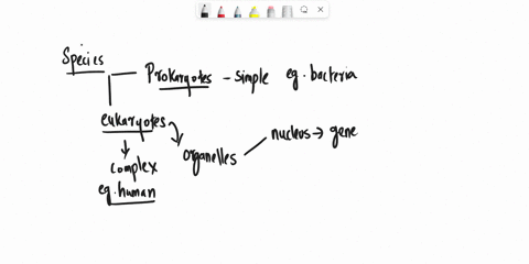 what-are-the-characteristics-of-prokaryotes-a-prokaryote-lacks-a-well-defined-nucleus-a-prokaryote-cannot-perform-basic-life-functions-a-prokaryote-lacks-cell-organelles-a-prokaryote-is-larg-25663