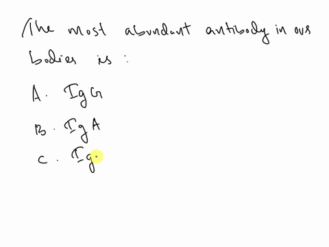 question-1-the-most-abundant-antibody-in-our-bodjes-0a-gg-d8-iga-06-igm-0-igd-28728