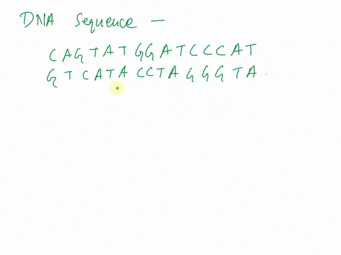 using-dna-sequencing-on-a-cloned-dna-segment-you-recover-the-nucleotide-sequence-shown-below-does-3-90135