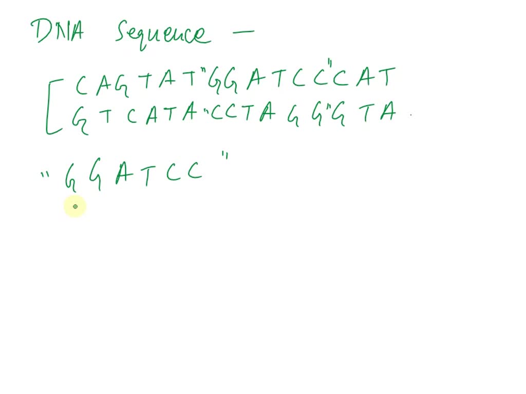 SOLVED: Using DNA sequencing on a cloned DNA segment, you recover the ...