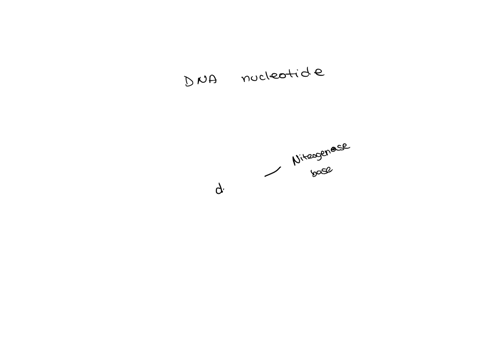 question-4-which-lists-3-possible-components-of-a-dna-nucleotide-deoxyribose-phosphate-group-uracil-cytidine-phosphate-group-ribose-adenine-phosphate-group-ribose-guanine-phosphate-group-rib-84609