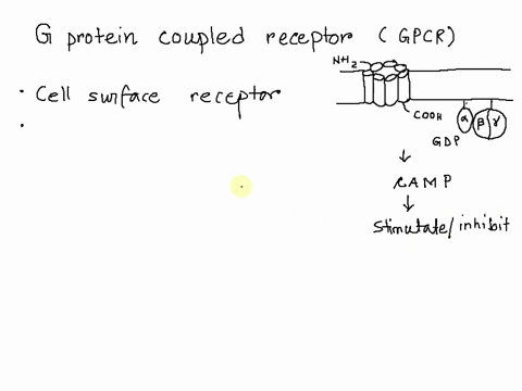 depending-on-the-cellular-context-gpcrs-can-activate-either-g-alpha-s-or-g-alpha-i-proteins-when-bound-to-gtp-g-alpha-s-__________-adenylyl-cyclase-while-gtp-bound-g-alpha-i-____________-ade-75061