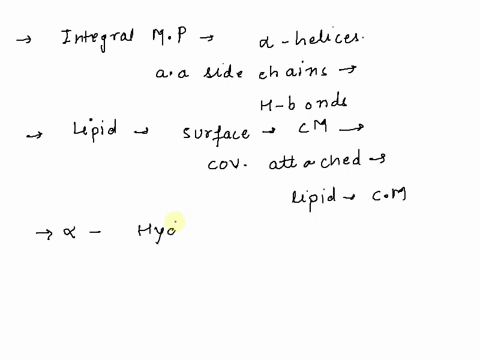 which-statements-are-accurate-regarding-membrane-proteins-choose-all-that-apply-membrane-proteins-often-have-alpha-helices-in-the-regions-that-span-the-membrane-because-the-protein-backbone-67418