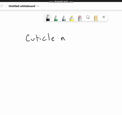 what-do-we-call-the-tool-that-is-used-to-push-back-or-loosen-the-cuticles-99333