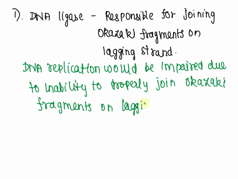 a-explain-what-would-happen-to-dna-replication-in-a-strain-of-e-coli-that-had-a-mutation-in-the-gene-for-dna-ligase-b-explain-what-would-happen-to-dna-replication-in-a-strain-of-e-coli-that-78305
