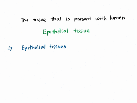 you-observe-a-tissue-under-a-microscope-there-appears-to-be-a-lumen-on-one-side-of-the-tissue-lining-this-lumen-the-cells-seem-to-have-long-fingerlike-projections-beneath-the-projections-the-41568