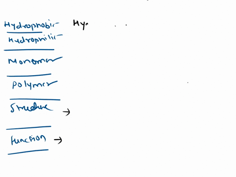 please-i-just-need-help-with-monomers-polymers-and-structure-columns-hydrophobic-monomers-hydrophillic-polymers-structure-why-carbohydrates-function-other-proteins-nuclec-acids-lipids-phosph-92624