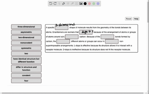 how-does-the-effectiveness-of-one-enantiomer-and-not-the-other-illustrate-the-theme-of-structure-and-function-match-the-terms-in-the-left-column-to-the-appropriate-blanks-in-the-sentences-on-08512