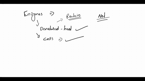 which-of-the-following-is-not-true-about-enzymes-enzymes-can-be-denaturated-by-heat-and-other-agents-enzymes-are-found-in-all-cells_-enzymes-are-catalysts-enzymes-participate-in-the-cells-ch-32755