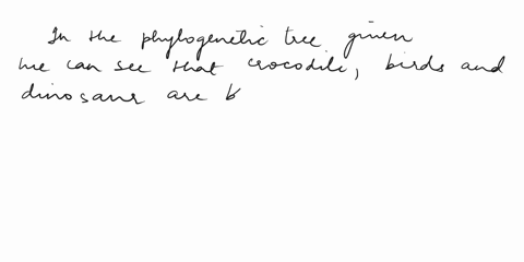 which-statement-is-true-regarding-this-phylogenetic-tree-ray-finned-rodents-dinosour-sherks-iish-amphiblans-primates-8-rabbits-crocodiles-8-brrd-two-post-orbital-enestrae-amnlotic-egg-four-e-35307