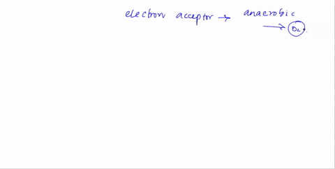 if-nondisjunction-occurs-in-meiosis-ii-during-gametogenesis-what-gametes-will-be-produced-at-the-completion-of-meiosis-group-of-answer-choices-1-gamete-will-be-n1-1-will-be-n-1-and-2-will-be-95813