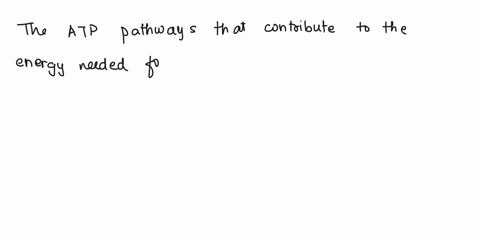 1-which-atp-pathways-contribute-to-the-energy-needed-for-the-o2-deficit-66974