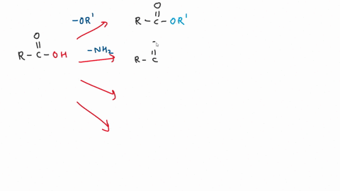 is-the-following-statement-true-or-false-some-prokaryotes-have-an-extra-protective-layer-called-the-capsule-in-addition-to-the-cell-wall-true-false