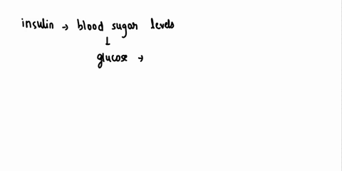 27-which-of-the-followirg-hormone-actions-will-oawr-when-tn-cci-atp-enerp-required-py-body-cels-0-human-blood-insulin-izeases-both-insulin-and-glucagor-decrease-both-insulin-and-glucagon-inc-57244