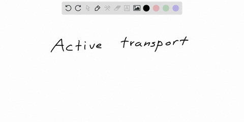 the-ca2-atpase-pumps-two-calcium-ions-out-of-the-cell-at-the-expense-of-atp-hydrolysis-while-counter-transporting-two-or-three-protons-is-this-active-transport-explain-your-answer-your-answe-71922