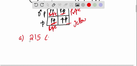 investigation-1-inheritance-of-one-trait-in-zea-mays-corn-monohybrid-cross-now-that-you-have-a-basic-understanding-of-the-terminology-used-in-studying-genetics-its-time-to-learn-how-to-perfo-00273