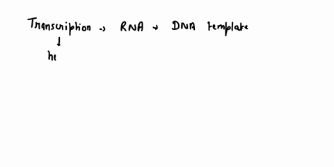 what-enzyme-is-involved-in-transcription-18513