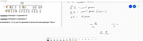 below-is-a-pedigree-chart-of-an-autosomal-recessive-disorder-answer-the-following-questions-using-he-correcl-genetic-terminology-do-not-just-write-letters-like-ee-99-5-what-is-the-genotype-o-39508