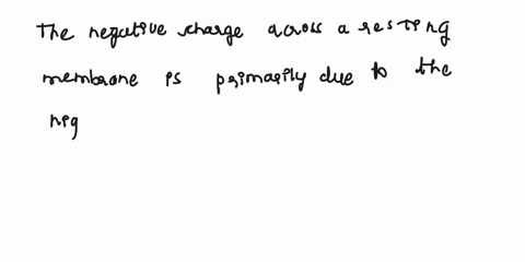 the-negative-charge-across-a-resting-membrane-is-due-to-the-more-__________-ions-diffusing-out-of-the-cell-than-__________-ions-diffusing-into-the-cell-a-potassium-sodium-b-sodium-calcium-c-78587