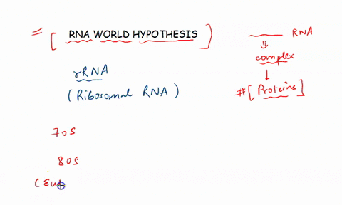 the-rna-world-hypothesis-proposes-that-the-first-complex-molecule-was-rna-and-it-preceded-protein-fo-64286