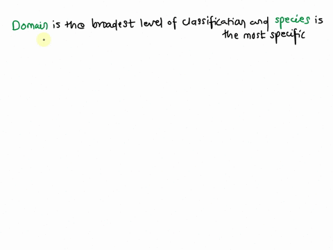 list the different levels of classification from broadest to most ...