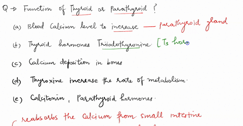match-each-function-to-the-appropriate-thyroid-or-parathyroid-hormone-one-choice-will-be-used-twice-hormone-funcjon-causes-blood-calcium-level-to-increase-thyroid-hormones-triiodothyronine-c-7796