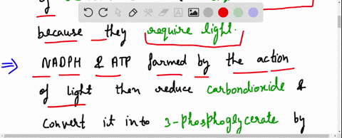 describe-the-path-of-electron-transport-through-the-major-molecules-of-the-light-reactions-once-light-energy-reaches-the-thylakoid-membrane-how-is-atp-produced-from-the-electron-transport-ch-75268