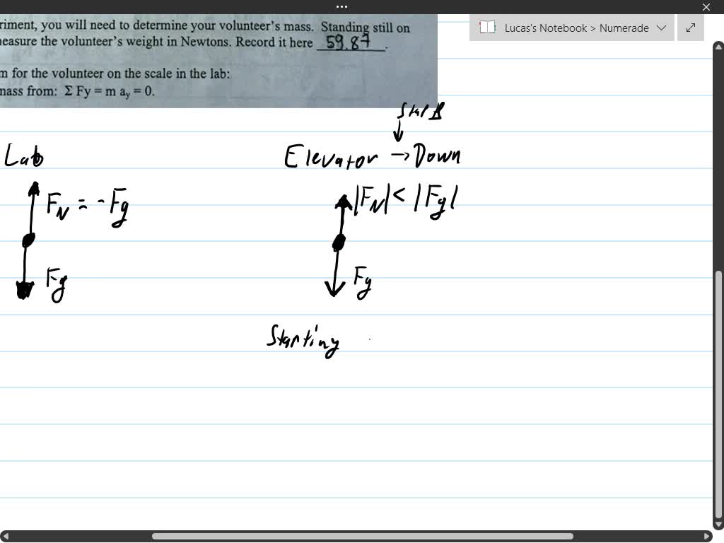 solved-apparent-weight-in-an-elevator-how-does-your-weight-change-in