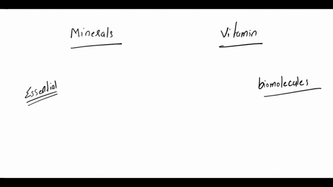 what-is-the-difference-between-a-vitamin-and-a-mineral-describe-the-relationship-between-vitamins-and-minerals-in-the-body-60663