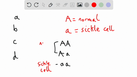 how-is-the-sickle-cell-allele-maintained-through-natural-selection-a-individuals-with-two-recessive-alleles-have-very-high-rates-of-reproduction-b-mosquitoes-that-pass-along-the-parasite-als-09643