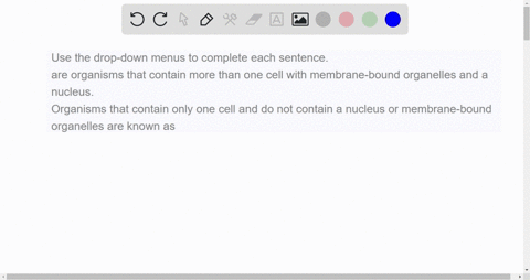 use-the-drop-down-menus-to-complete-each-sentence-are-organisms-that-contain-more-than-one-cell-with-membrane-bound-organelles-and-a-nucleus-organisms-that-contain-only-one-cell-and-do-not-c-65149