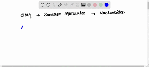 dna-is-made-up-of-many-smaller-molecules-called-_____-chromosomes-nucleic-acids-nucleotides-phosphates-30427